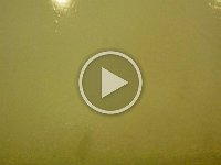 Kids Videos